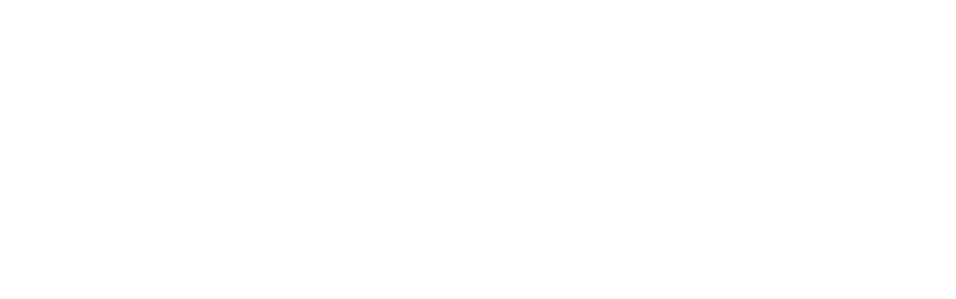 Trimagnetix Logo